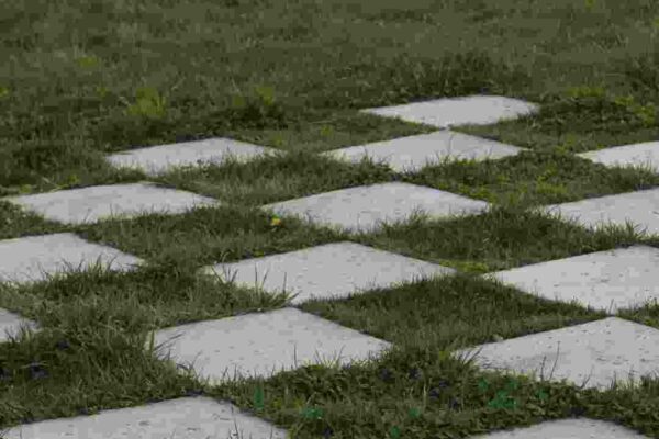 adobe express file 2025 09 26t140137.764