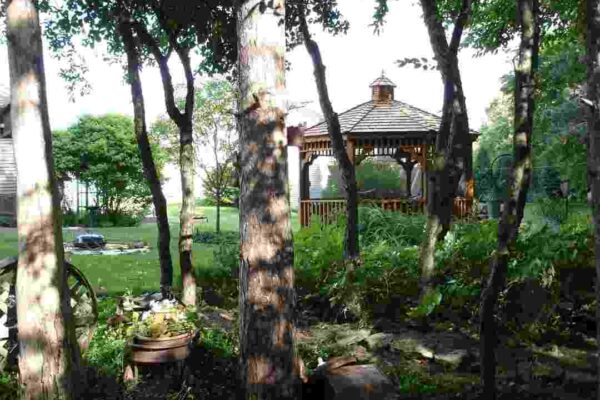 adobe express file 2025 09 26t150049.983