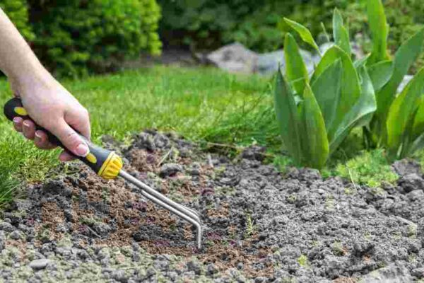 adobe express file 2025 09 26t150302.113