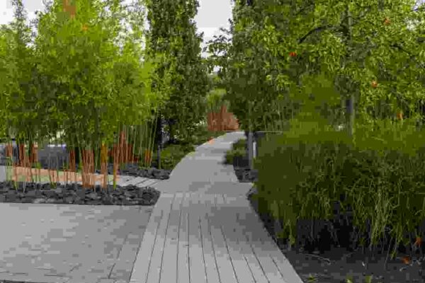 adobe express file (86)