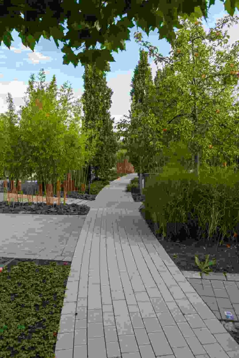 Paving Adelaide Homes: Latest Design Trends and Materials for 2025